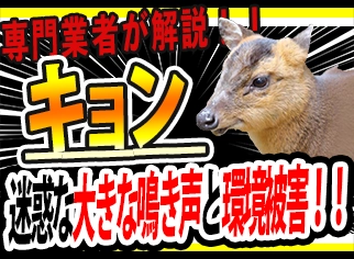 旭山動物園 キョン滝上発! 動物園の動物が大好き!! by 西紋のマツ