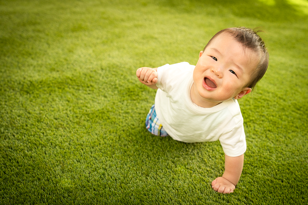 はいはい、よちよちあかちゃんにおすすめの都内・芝生の綺麗なスポット3選: mammemo