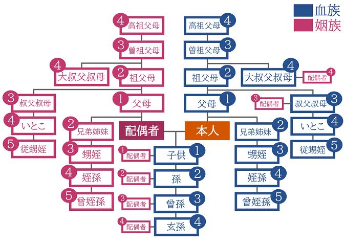 直系尊属 完全解説 直系尊属とは？傍系・直系卑属・直系血族や親族との違いも解説！相続コラム相続弁護士に無料相談遺産相続に強い弁護士なら弁護士法人あおい法律事務所 相続専門サイト