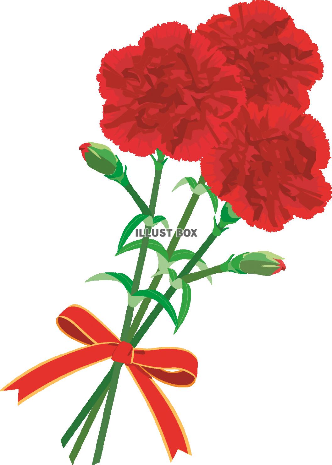 世界の母の日事情 母の日の起源やカーネーションの意味 - ウェザーニュース