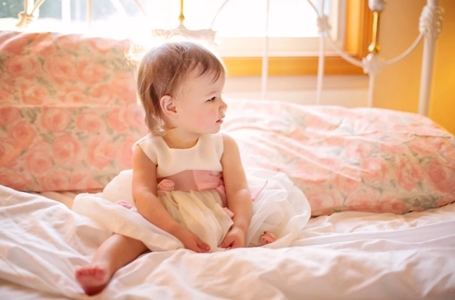 世界で人気の猫の名前は？名前から見えるお国柄anicom you アニコムユー