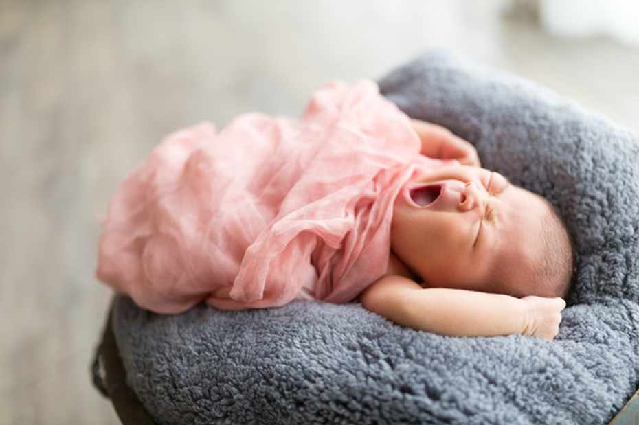 今日のCOCO トンネルくぐり&クッション遊び児童発達支援事業所 cocoito 相談支援事業所 nico