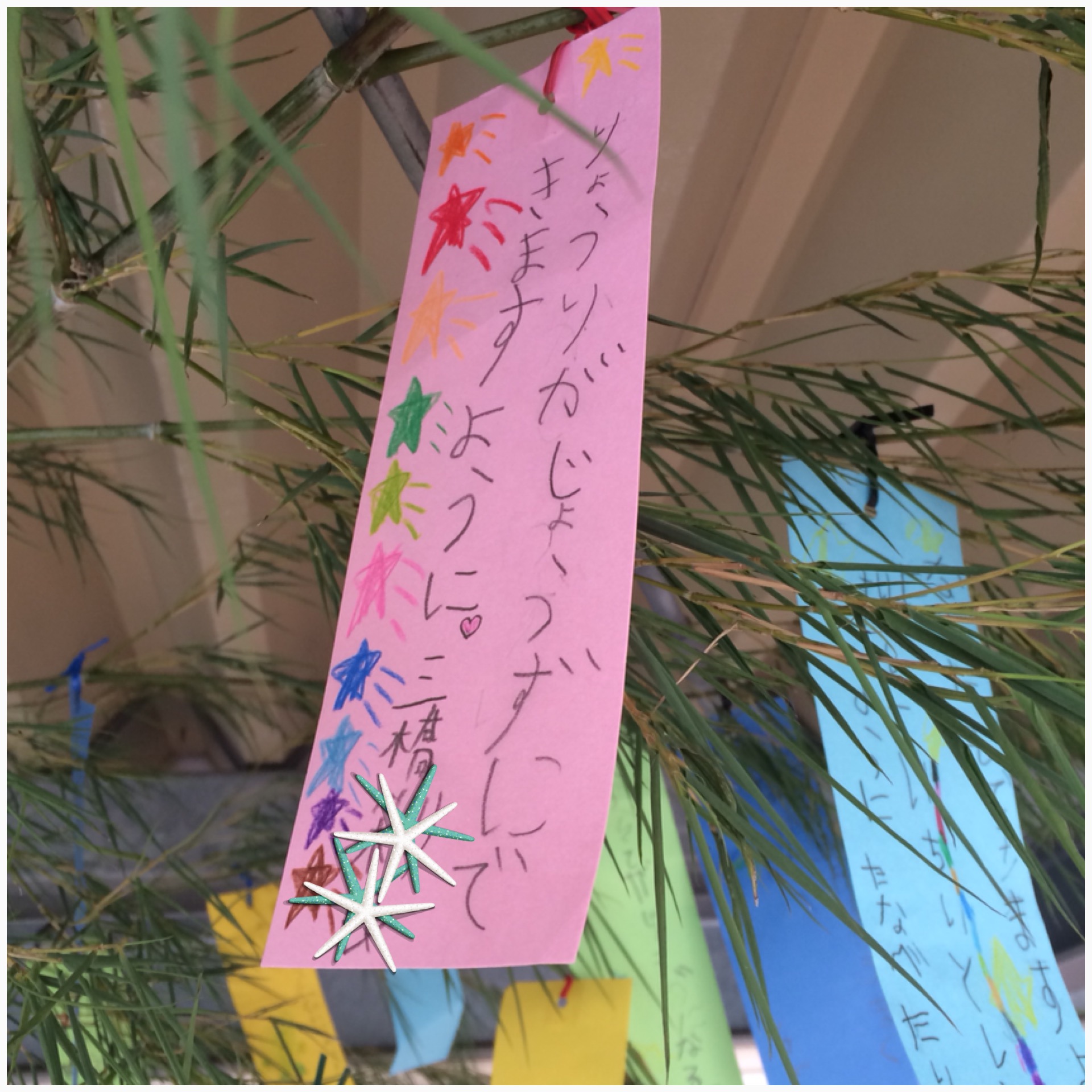 願い事をデジタル短冊に 一宮七夕まつり、特設サイトで投稿募集：中日新聞Web