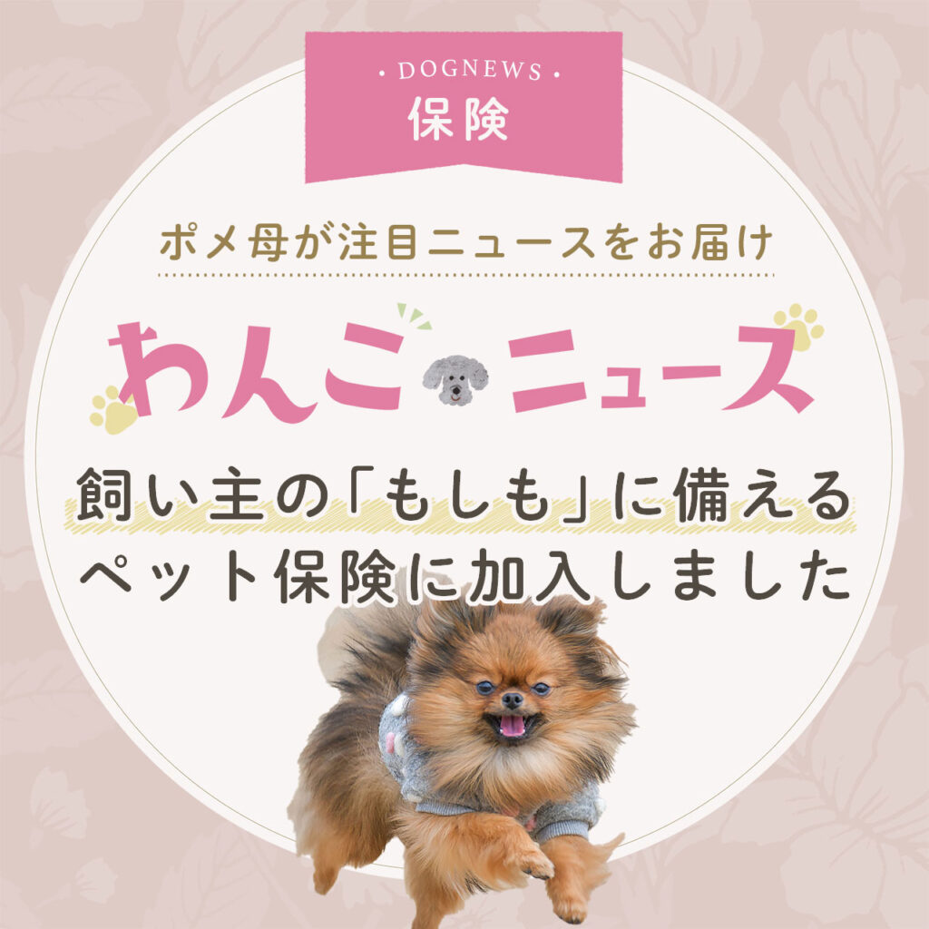 リトルファミリー わんデイズ・にゃんデイズ のペット保険・動物保険ご紹介リトルファミリー少額短期保険株式会社