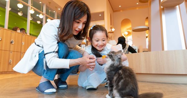 全国 三連休 8歳向けの 子供の遊び場・お出かけスポットいこーよ