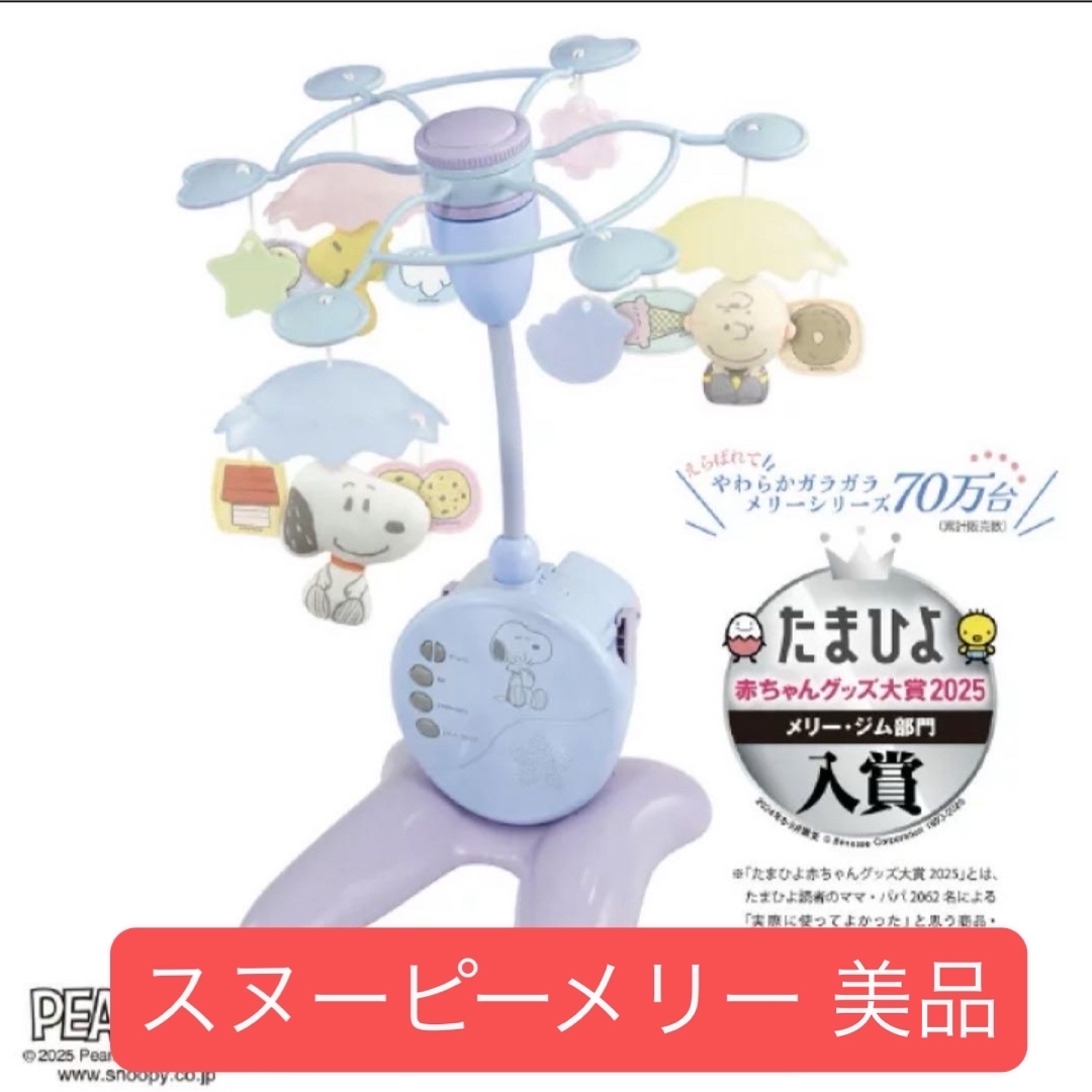 スヌーピーの赤ちゃんノート スヌーピー 育児日記 冷やさ