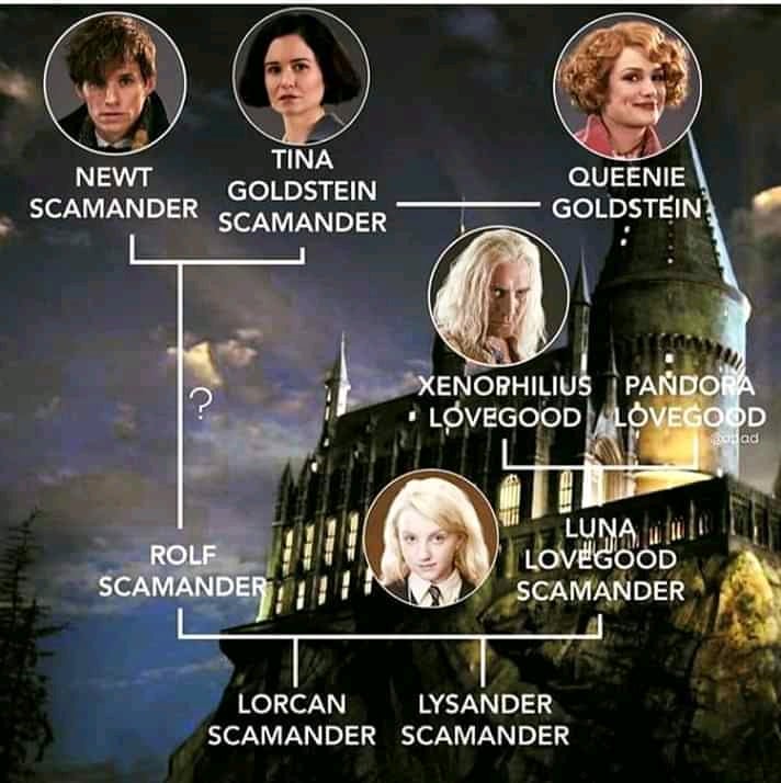 ご存知だろうか？ ファンタビ3にティナがほぼ出演しなかった本当の理由 - YouTube