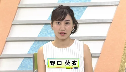 NHK 野口葵衣 ｱｵｲ新潟市出身 慶應義塾大学法学部政治学科 新潟市生れ」のアイデア 100 件 2025ブラタモリ, 頌栄, 野口