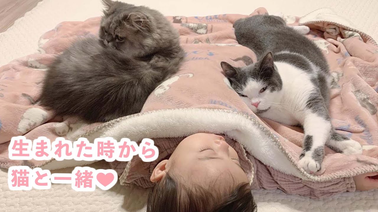 大切な猫鍋を赤ちゃんに譲る、なんとも優しい猫に拍手♡ねこのきもちWEB MAGAZINE