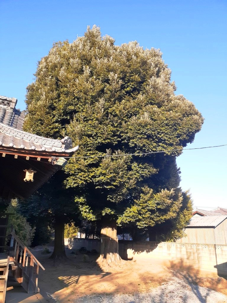 埼玉県本庄市四方田288-1 金佐奈神社.産泰神社から拝受しました日本国神社参拝 御朱印 拝受の旅