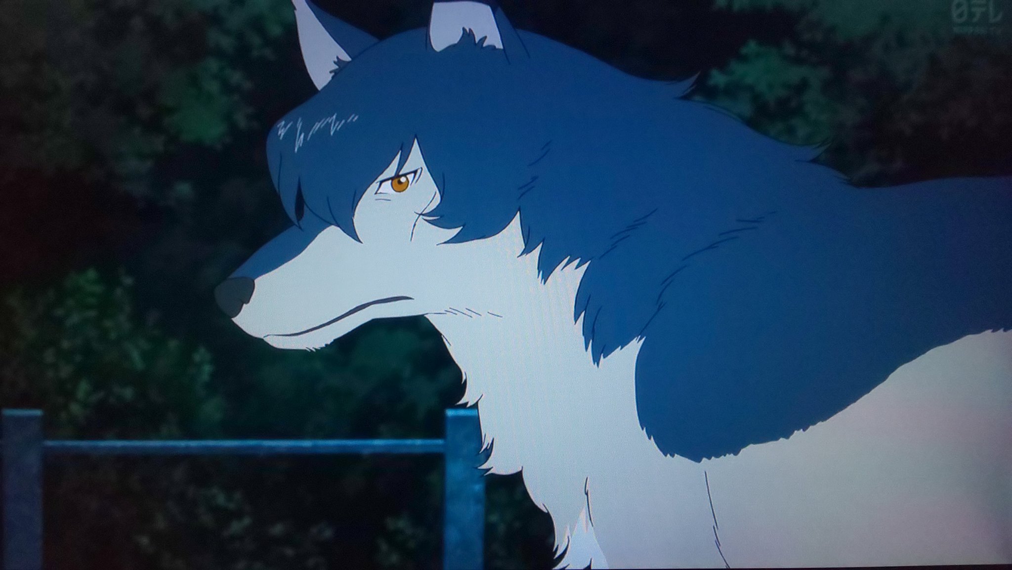 映画「おおかみこどもの雨と雪」