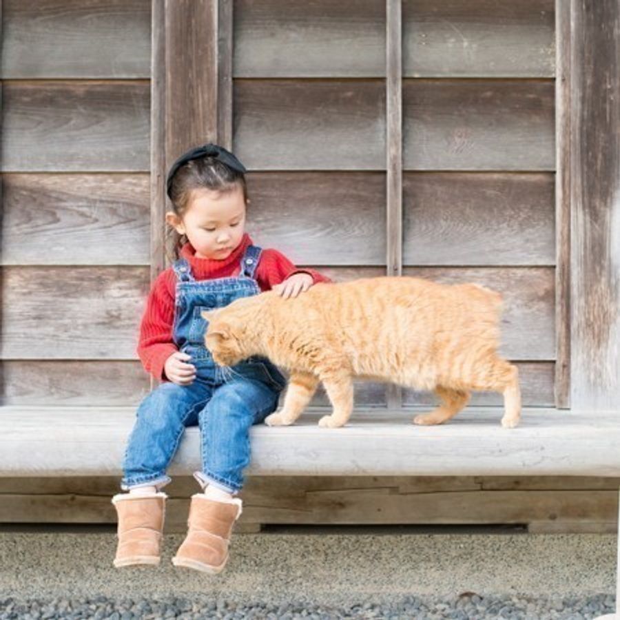 隣で赤ちゃんが泣きはじめると優しい猫がまさかの行動に