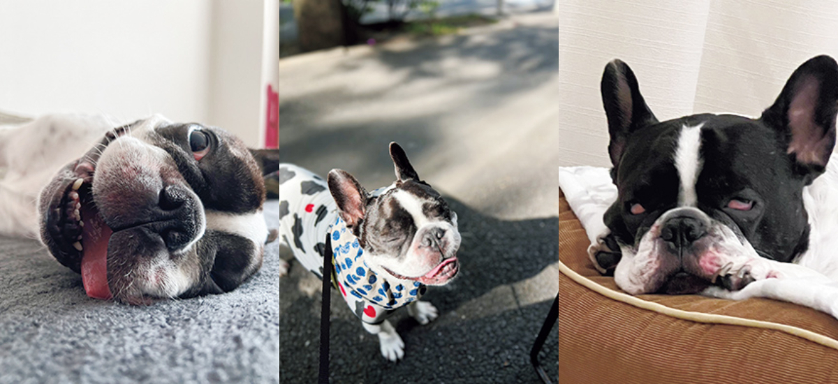 川口春奈の“笑顔”に迫るQ&A！思わず笑ってしまうとっておき写真も公開GINGER