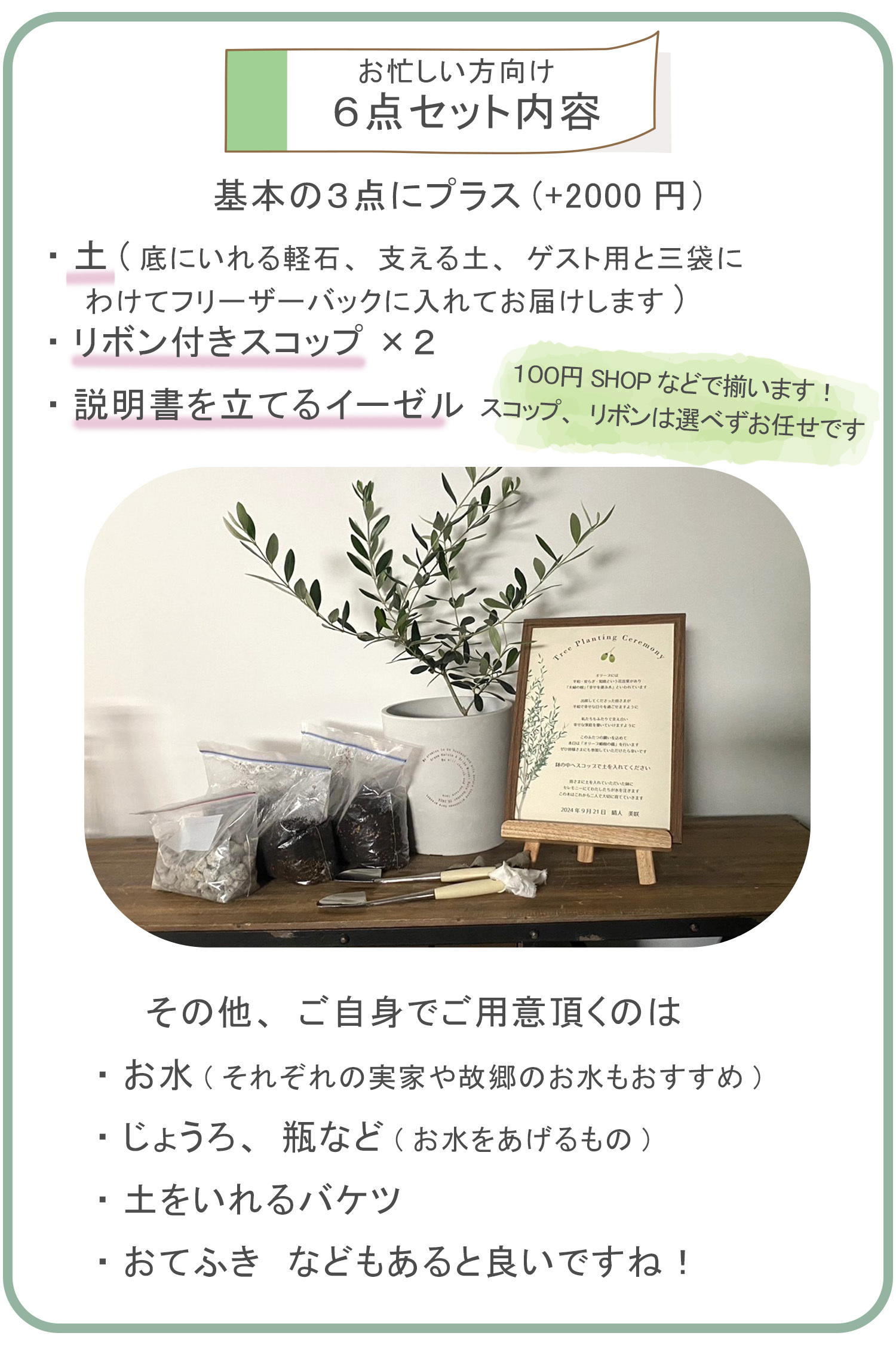 Amazon.co.jp: 夫婦の木 結婚式 オリーブ アイボリーテラコッタ鉢植え 植樹式 鉢植え 観葉植物 おしゃれ インテリア 中型 オリーブの木寒さに強い ウエディング 植樹 記念樹 : DIY・工具・ガーデン