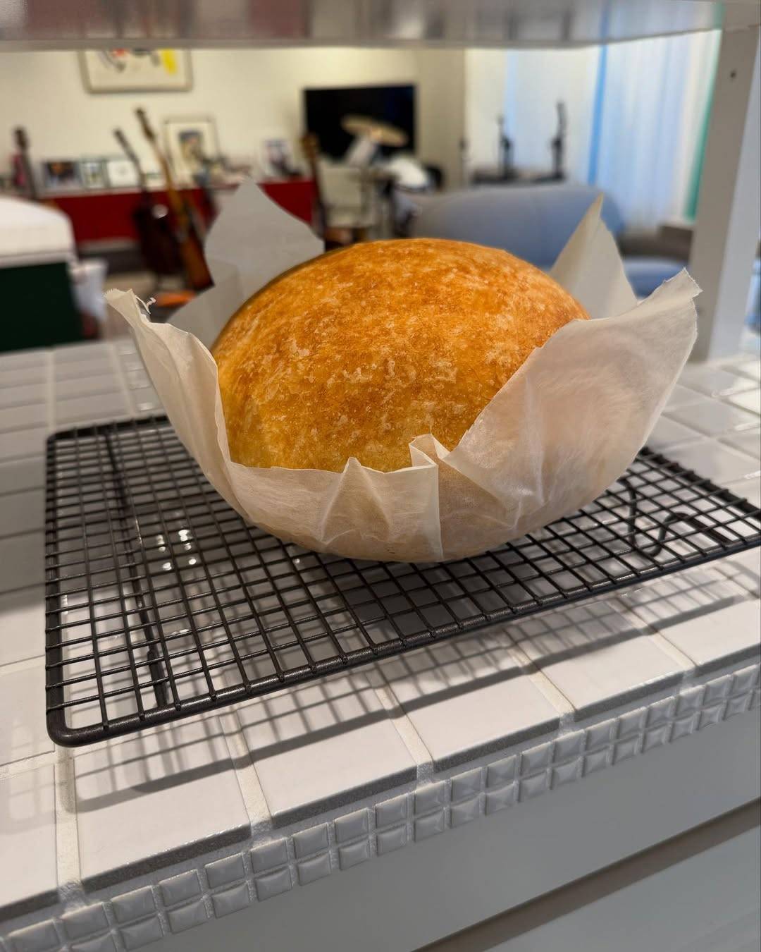 栗原はるみ、自宅の紫陽花が満開を迎える「ぜひ見てください」 - エキサイトニュース