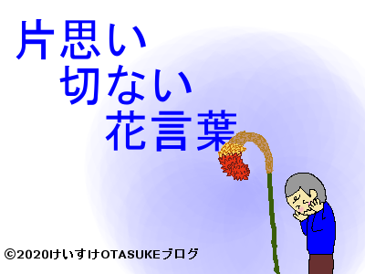 片思いの花言葉ミライ科 - 進研ゼミ中学講座ブログ