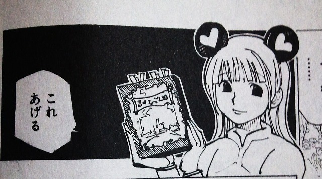 HUNTER×HUNTER』休載期間に考察！「暗黒大陸」で回収されそうな3つの伏線ダ・ヴィンチWeb