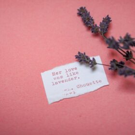 メッセージプレート 例文 記念日 英語TikTok