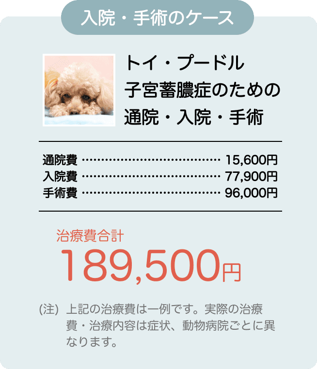 わんデイズ・にゃんデイズリトルファミリー少短保険の比較 保険比較・見直し・無料相談