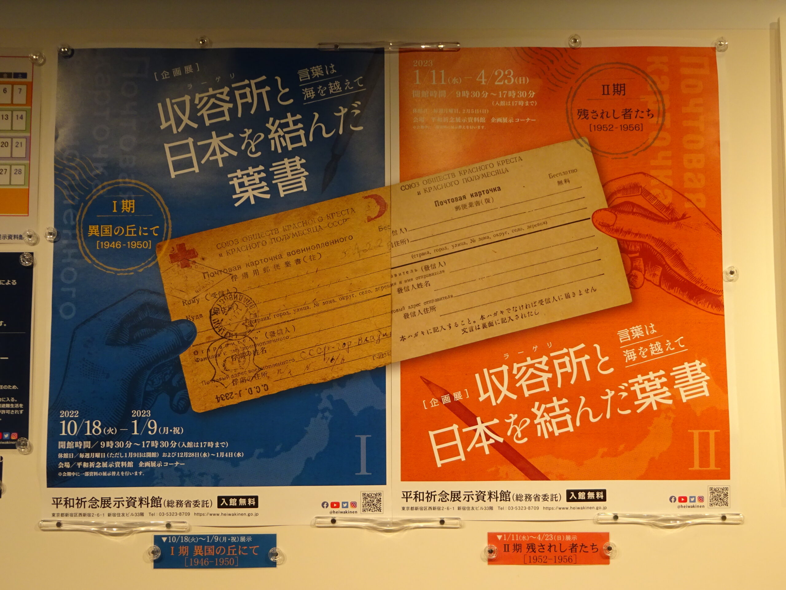 とある少年に起きた超ビックリする事件!ザ！世界仰天ニュース日本テレビ