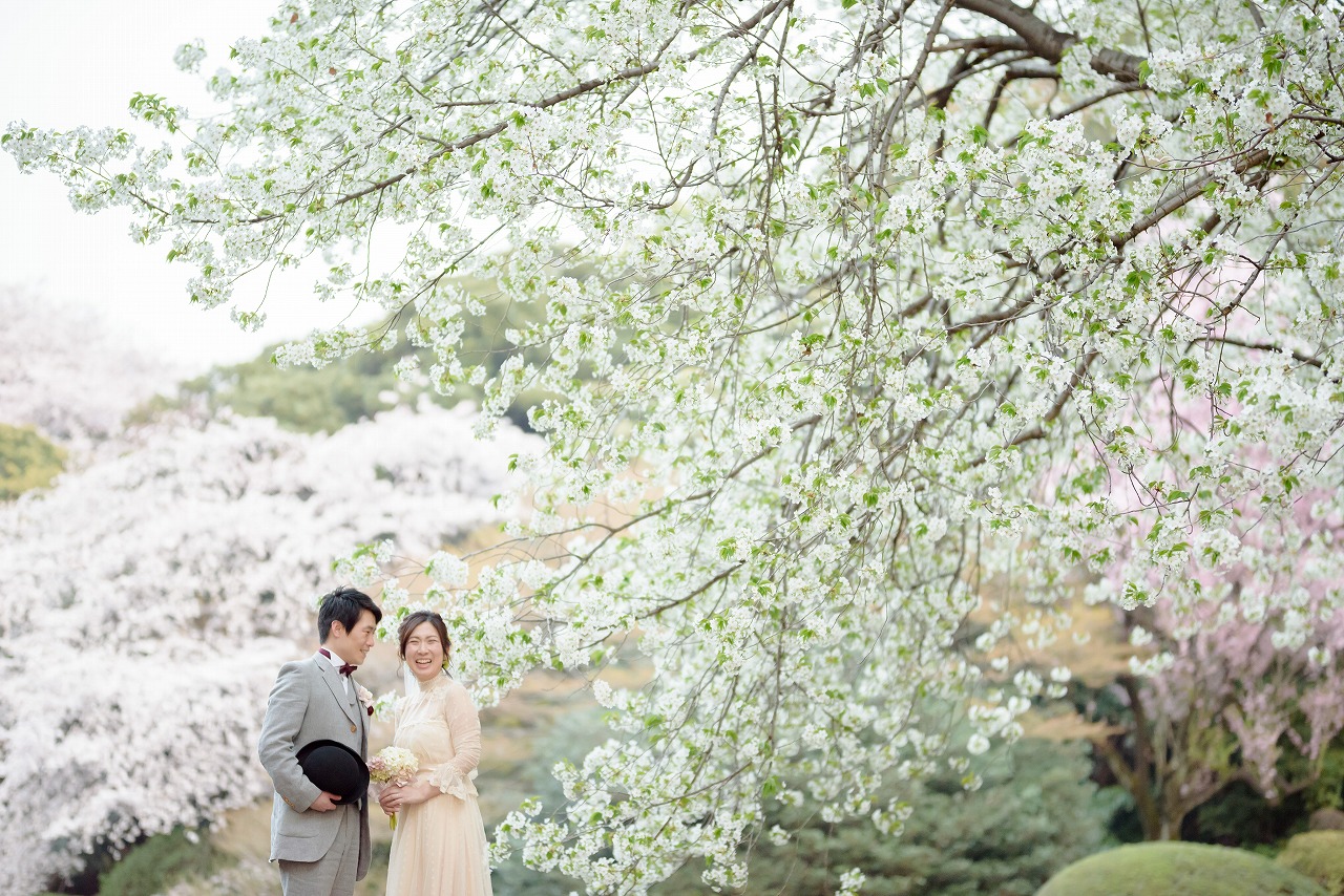 桜プラン 最近のフォトウェディングの様子