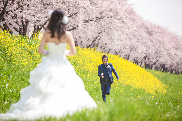 春の桜のロケーションフォトのご予約残りわずかですスタジオAQUA 富士店前撮り・フォトウェディング