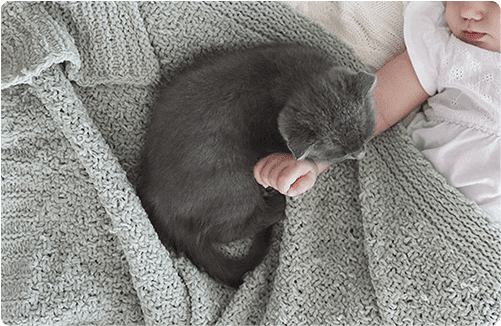 猫・赤ちゃん・夫の生活リズムはバラバラ。休む暇がなく、はじめての育児が辛すぎるねこねこネットワーク NNN にロックオンされています。㊲ダ・ヴィンチWeb