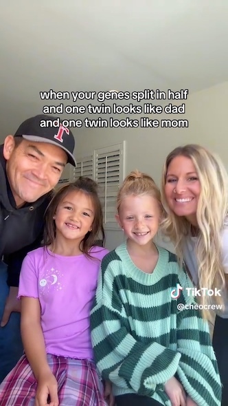 双子の顔のちがい西野みーエンタメ研究所