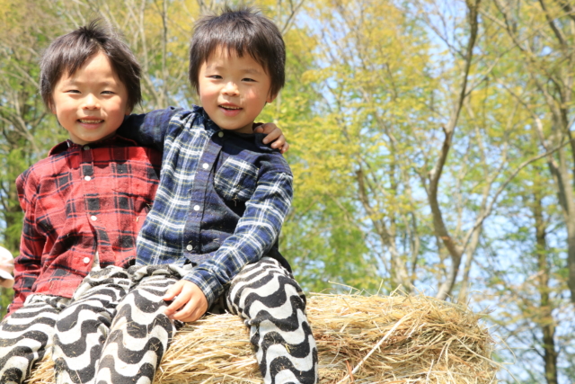 ふたごの兄がカホゴすぎる！ 初デートは大さわぎ⁉ - 集英社みらい文庫