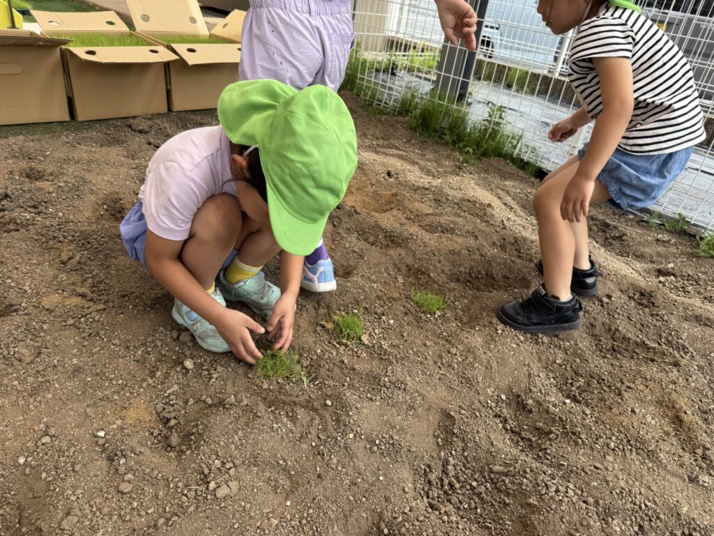 青空のもと芝生の上をはいはいする赤ちゃん - No: 26422626写真素材なら「写真AC」無料 フリー ダウンロードOK