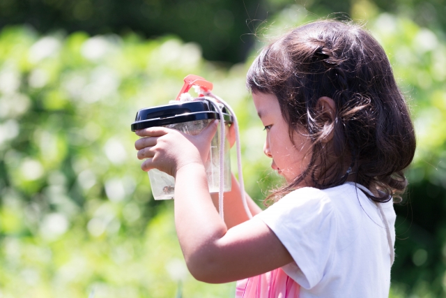 夏ならではの遊び」～4歳児～兵庫県尼崎市の幼保連携型認定こども園夢の園