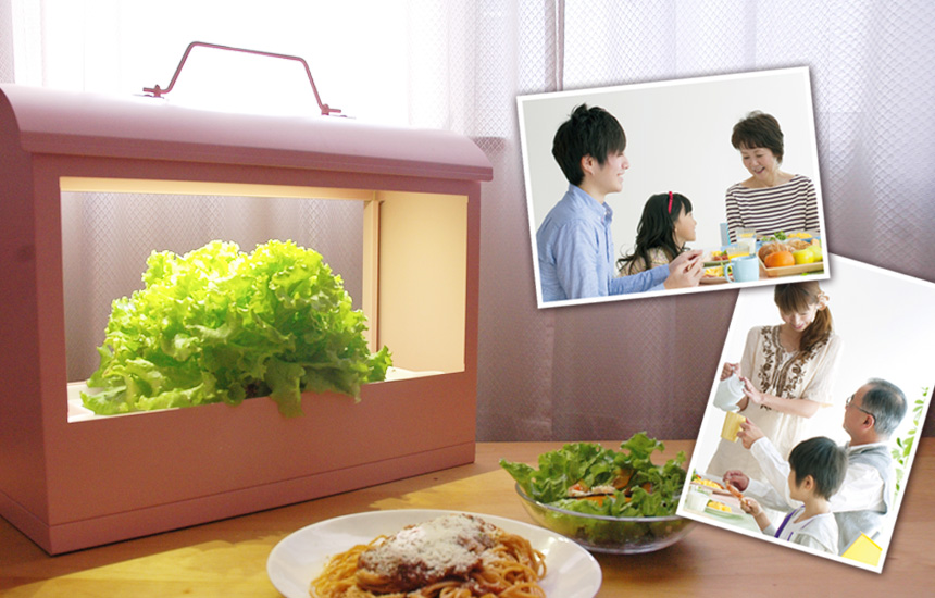 チョコッと台灣文化の紹介台灣では中秋の節に 月餅 げっぺい と 文旦 ぶんたん を食べる文化があります😁 今年の中秋の節は9月21日！！月餅は丸くて平らな形から『家族団欒』の意味を表しています。 月餅の種類は色々ありますが、毎年 私の大好きな緑豆餡が入った