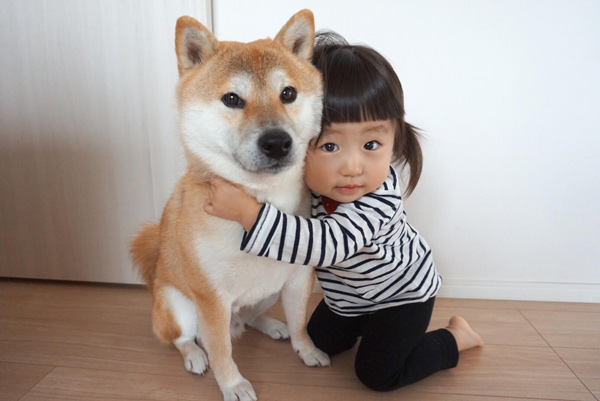 福ちゃん富くん飼い主の仕事や年収について！パパやママの年齢や本名などプロフィールを紹介世の中のいろんな謎解き