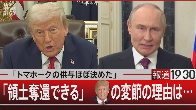 172点の守谷絢子の写真と高解像度写真 - Getty Images