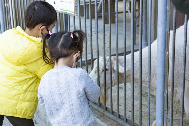 3連休は親子で参加できる体験や文化イベントがいっぱい! 屋外で元気に遊べるイベントから、伝統文化を感じられるお祭りまで幅広く楽しめちゃうよ〜🙌おすすめポイント👇 ・科学実験やワークショップで学びながら遊べる ・芝生広場でピクニック気分&アクティビティ体験
