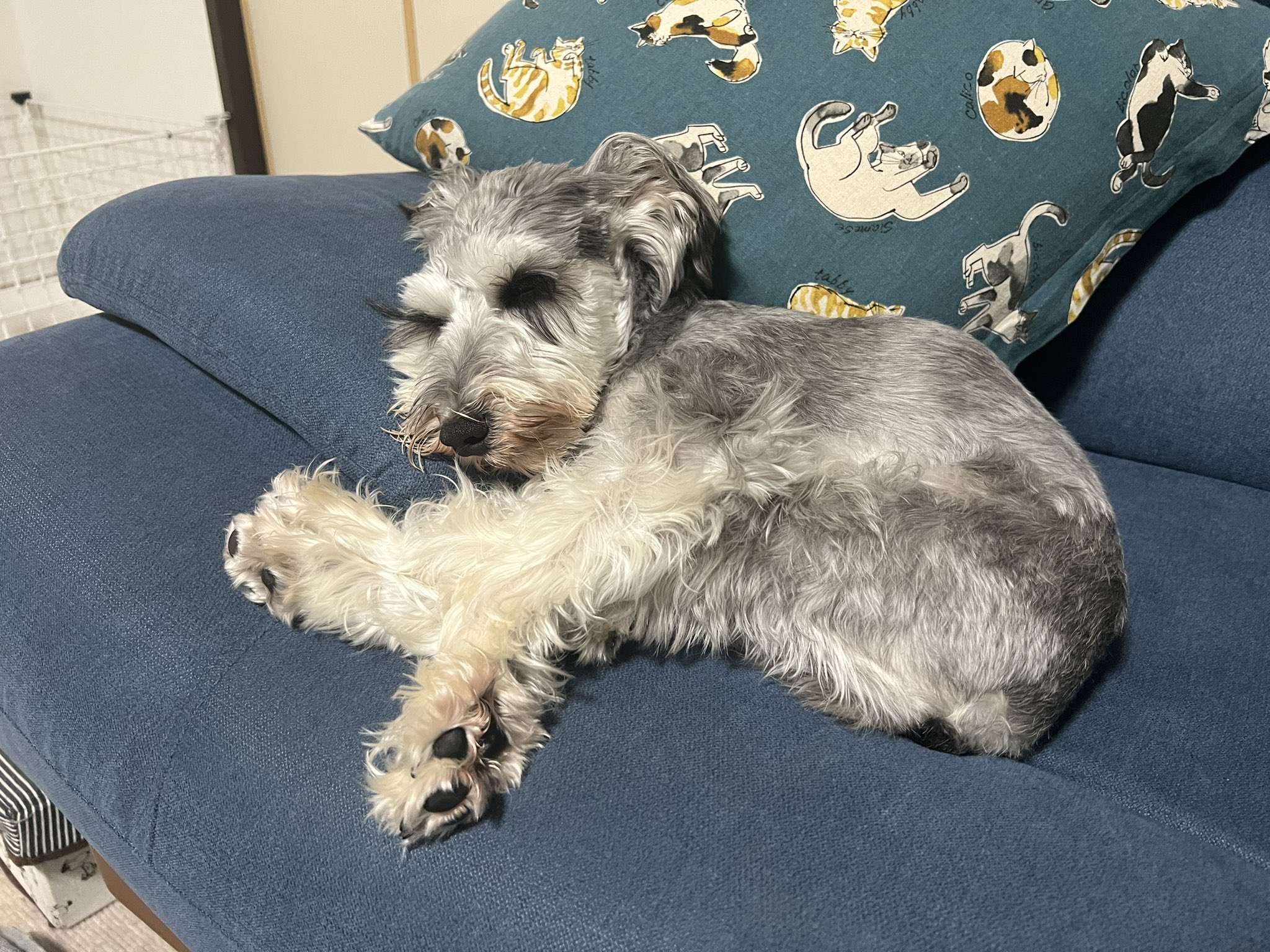 てんこ盛り男という男はるのぶ