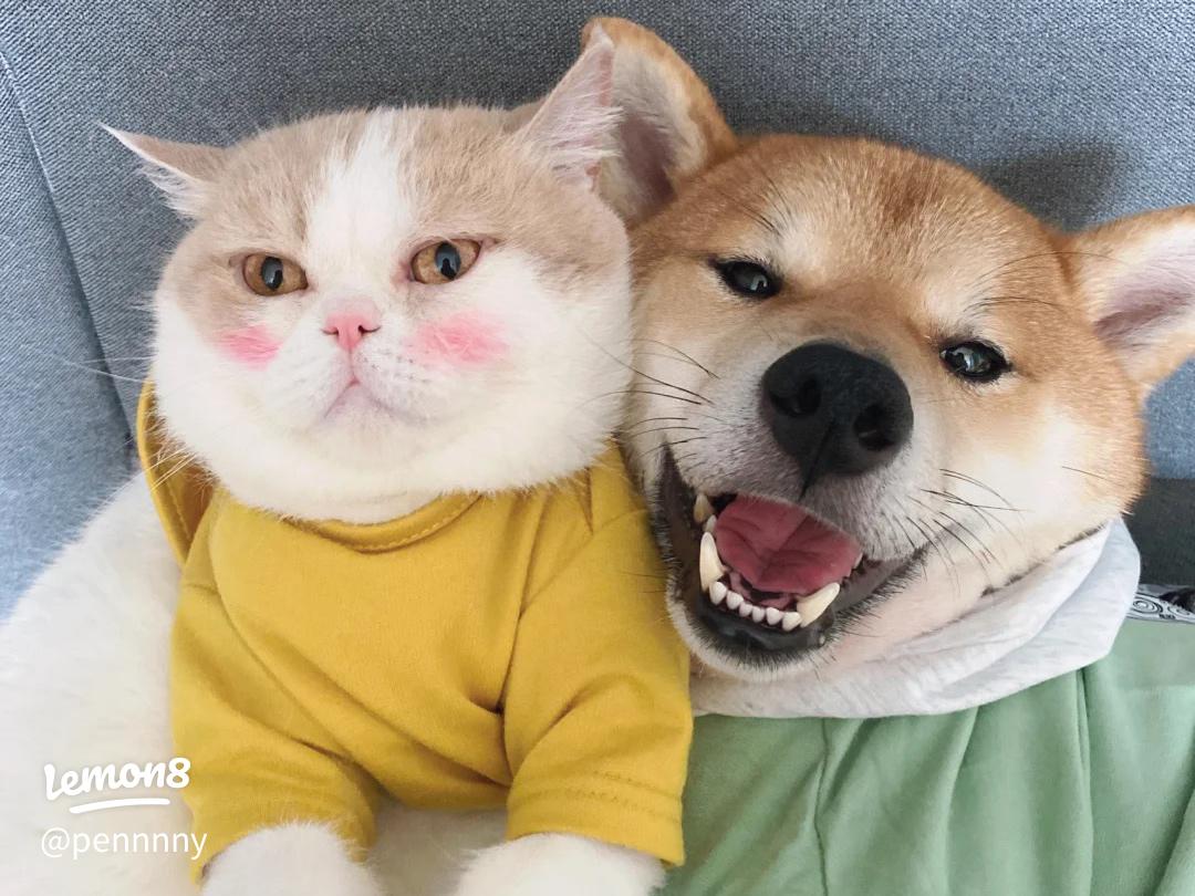 幸せレポート 効率良く活動でき、素敵な相手に出会えました！成婚実績・満足度業界最高水準