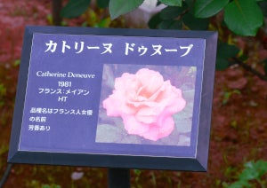 南明奈、夫・濱口優＆3歳息子のほほ笑ましいプライベートショット公開「なんて素敵な光景なんでしょう」2025年10月10日掲載-ライブドアニュース