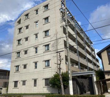 野口葵衣アナのカップ＆私服画像！彼氏や高校大学は？ ブラタモリネタだらけのノート♪