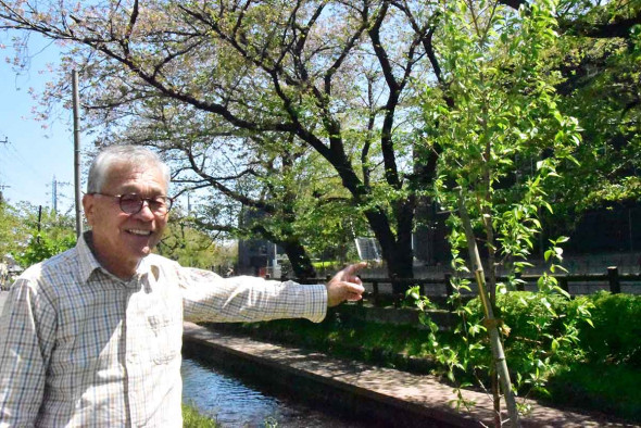 スタディコーチ：鉄緑会指定校出身コーチへの取材 ②桜蔭→東京大学理科二類2年生『戦記』