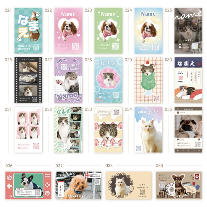 ペット名刺の作成におすすめなお店5選！多頭飼いや人気のところまで3 3わんちゃんホンポ