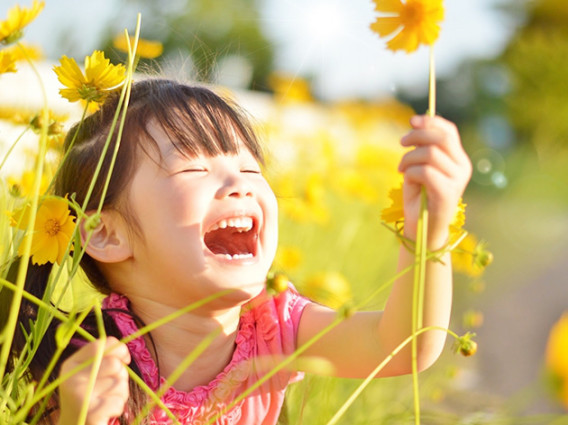 夏のおもちゃ・夏あそび特集2023シャディギフトモール