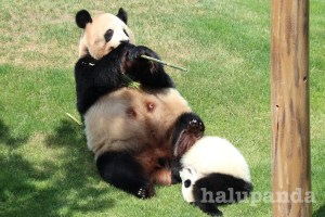 おかあさんといっしょ なかよし姉妹 – 宮古毎日新聞社ホームページ -宮古島の最新ニュースが満載