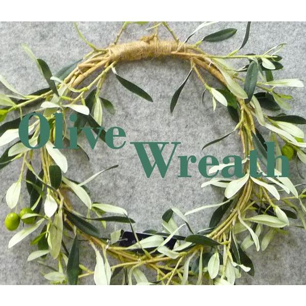 Amazon.co.jp: 夫婦の木 結婚式 オリーブ アイボリーテラコッタ鉢植え 植樹式 鉢植え 観葉植物 おしゃれ インテリア 中型 オリーブの木寒さに強い ウエディング 植樹 記念樹 : DIY・工具・ガーデン