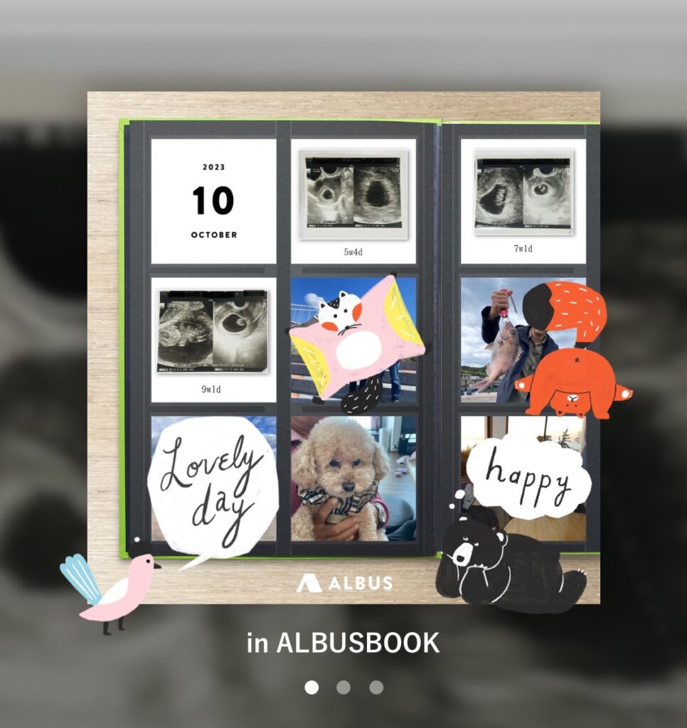 エコー写真のアルバムを手作り！無印とダイソーで手軽に可愛くかおみいログ