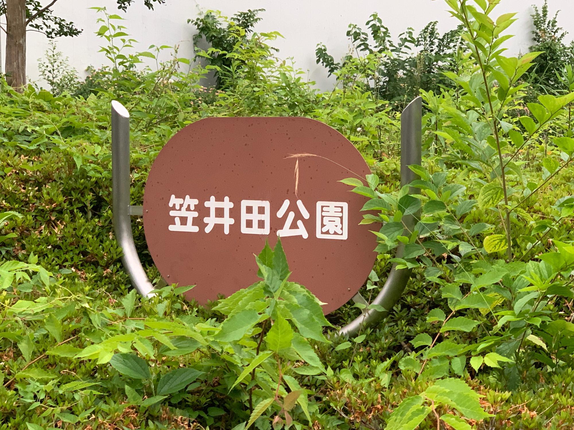 ホラー 「下心」で覗いた好きな子 の部屋 そこに映し出された“母親への暴力”と、もう一つの恐怖 作者に聞くWalkerplus ｄメニューニュース NTTドコモ