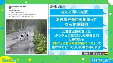 日常』はこんなに尊い! みんなに観てほしいアニメ版『日常』のおススメポイントuzurea.net