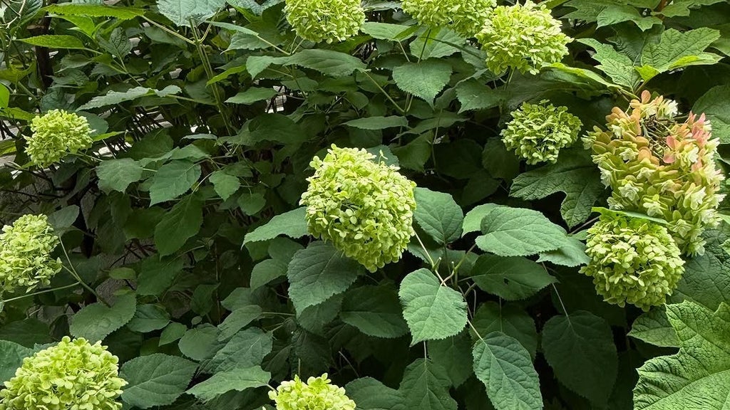 栗原はるみさんのこだわりのレストラン「harumi's」は、毎日通いたくなるお店です