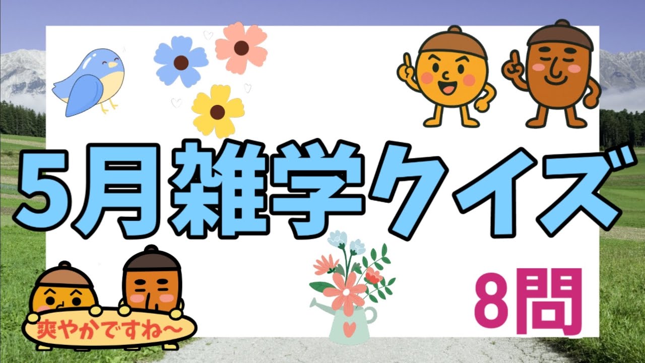 データ販売 こどもの日クイズスケッチブックシアタ