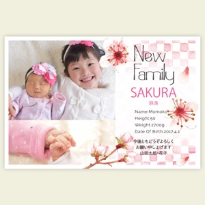 紅葉と袴と傘の色のバランスが素敵！男の子2人の七五三撮影OurPhoto アワーフォト